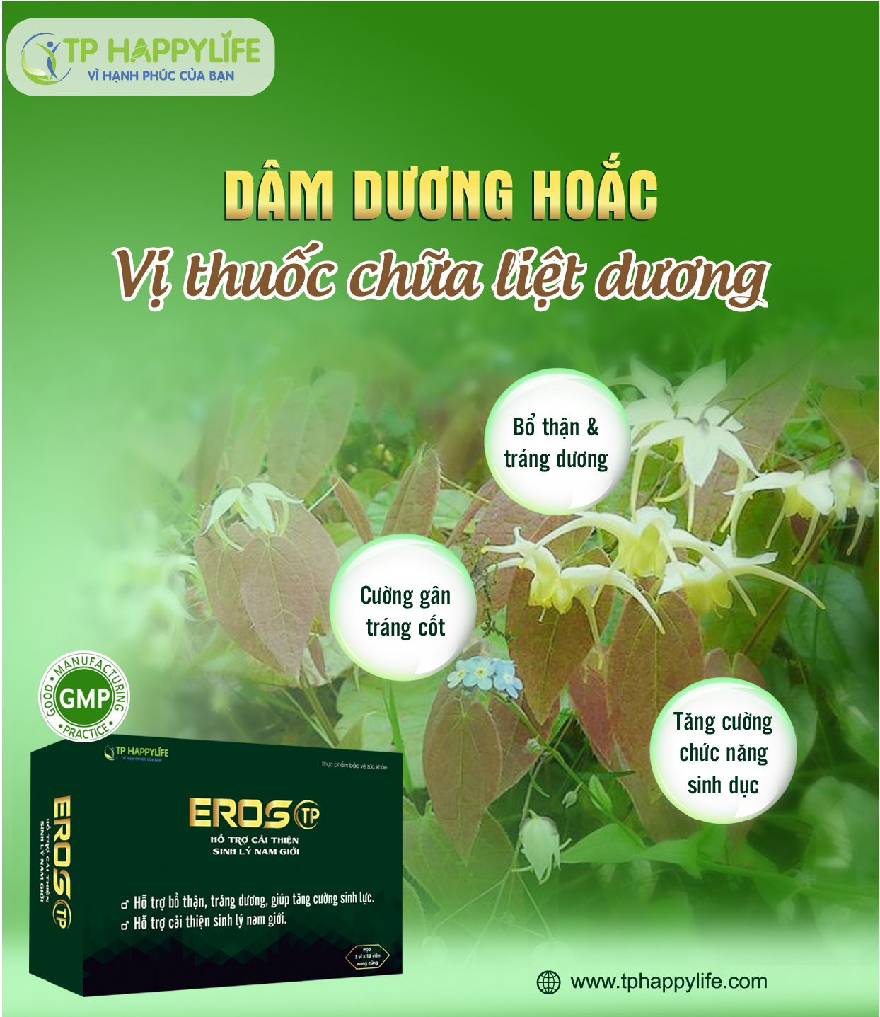 Dâm dương hoắc – Vị thuốc chữa liệt dương