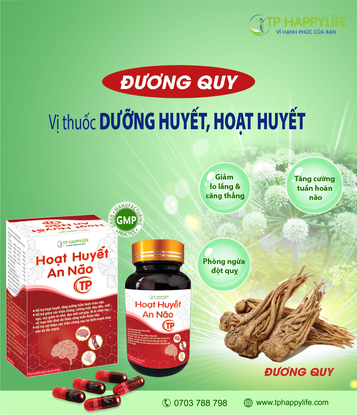 Đương Quy vị thuốc dưỡng huyết, hoạt huyết