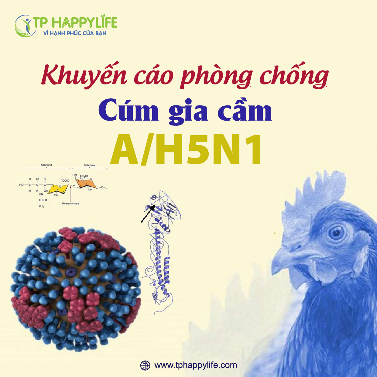 Khuyến cáo phòng chống cúm gia cầm A/H5N1