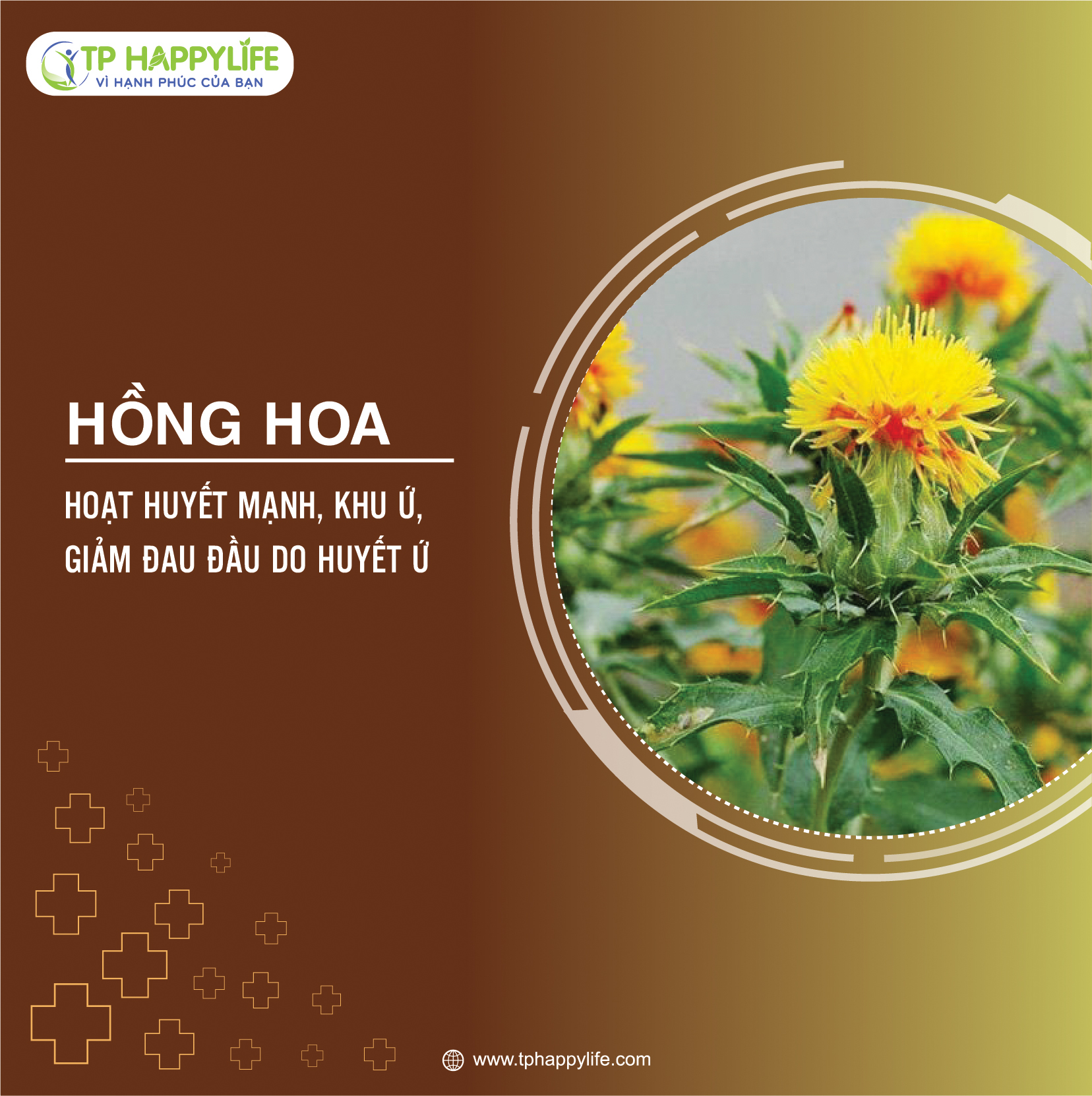 Hồng hoa – Vị thuốc hoạt huyết, khu ứ, giảm đau đầu do huyết ứ