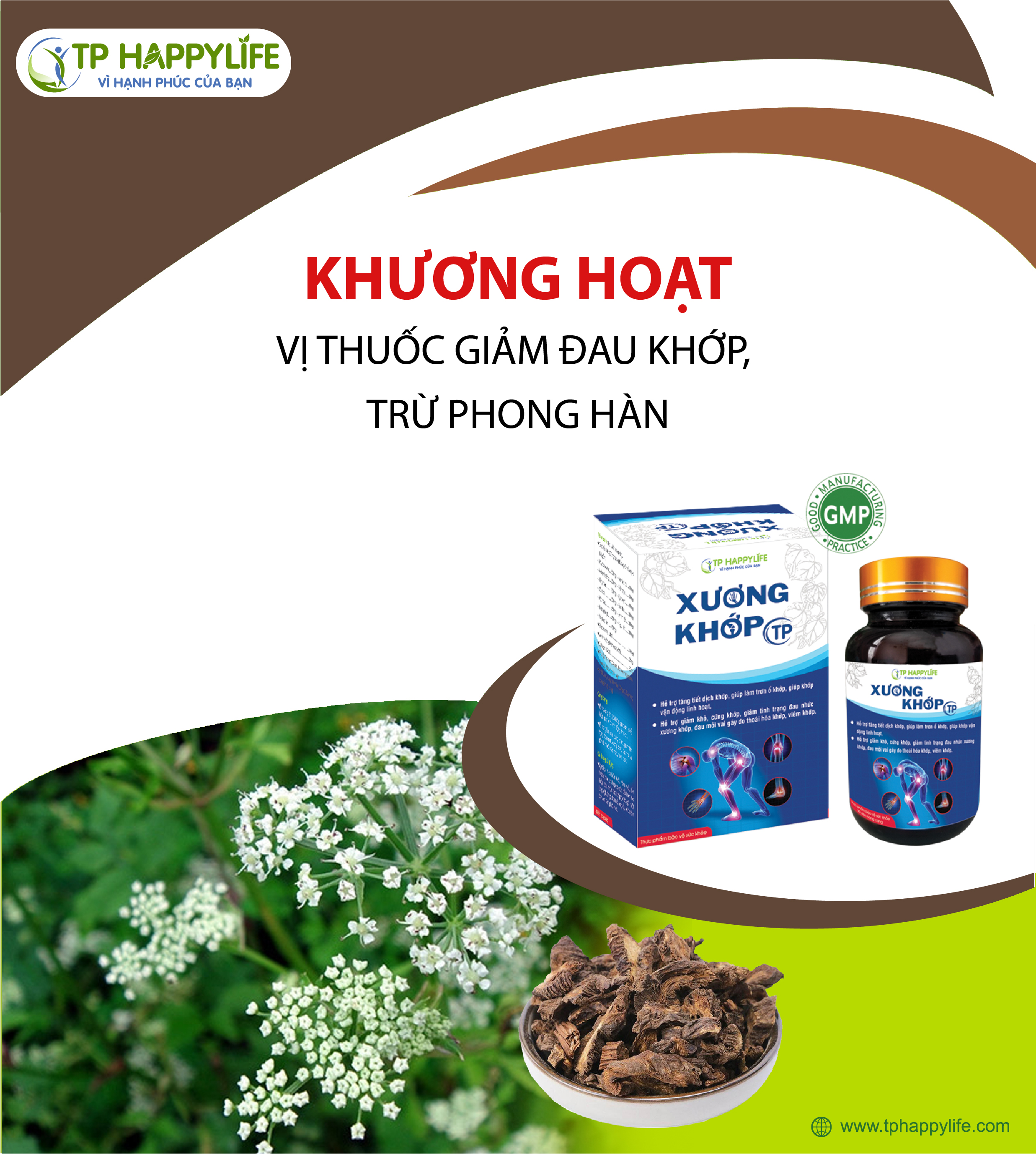 Khương Hoạt – vị thuốc chuyên trị đau khớp phần trên, giảm đau vai gáy, lưng và đầu do phong hàn thấp. 