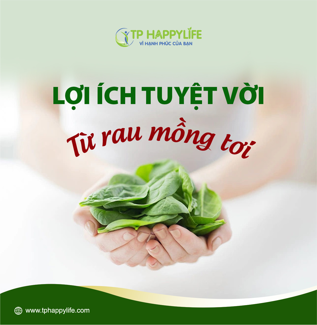 Lợi ích tuyệt vời từ rau mồng tơi