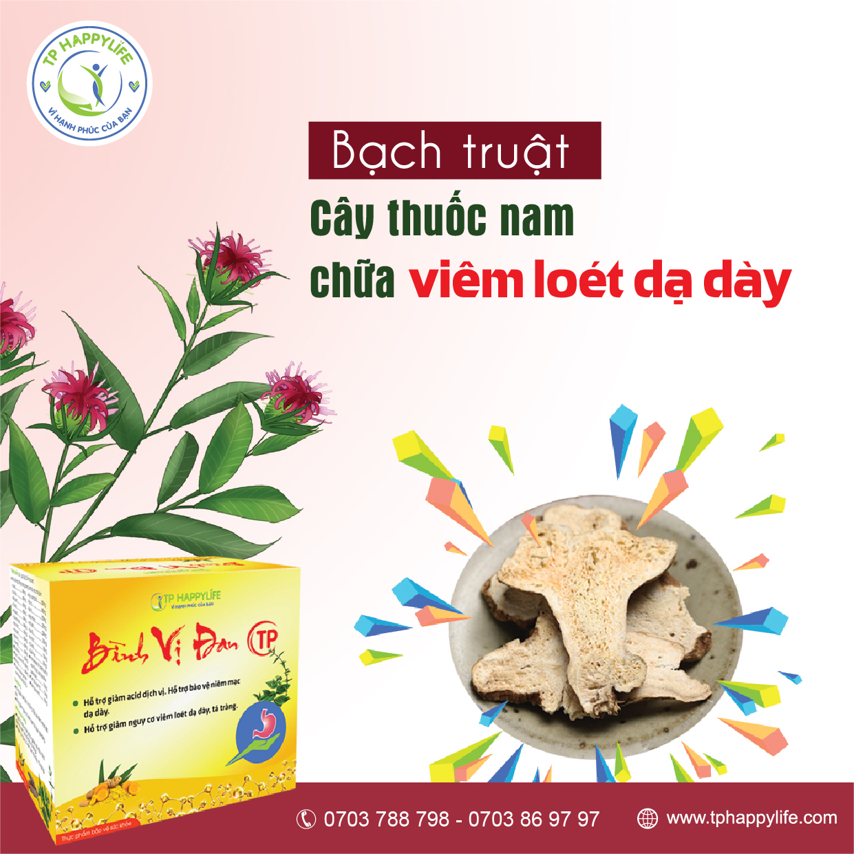 Bạch Truật – Cây thuốc nam chữa viêm loét dạ dày.