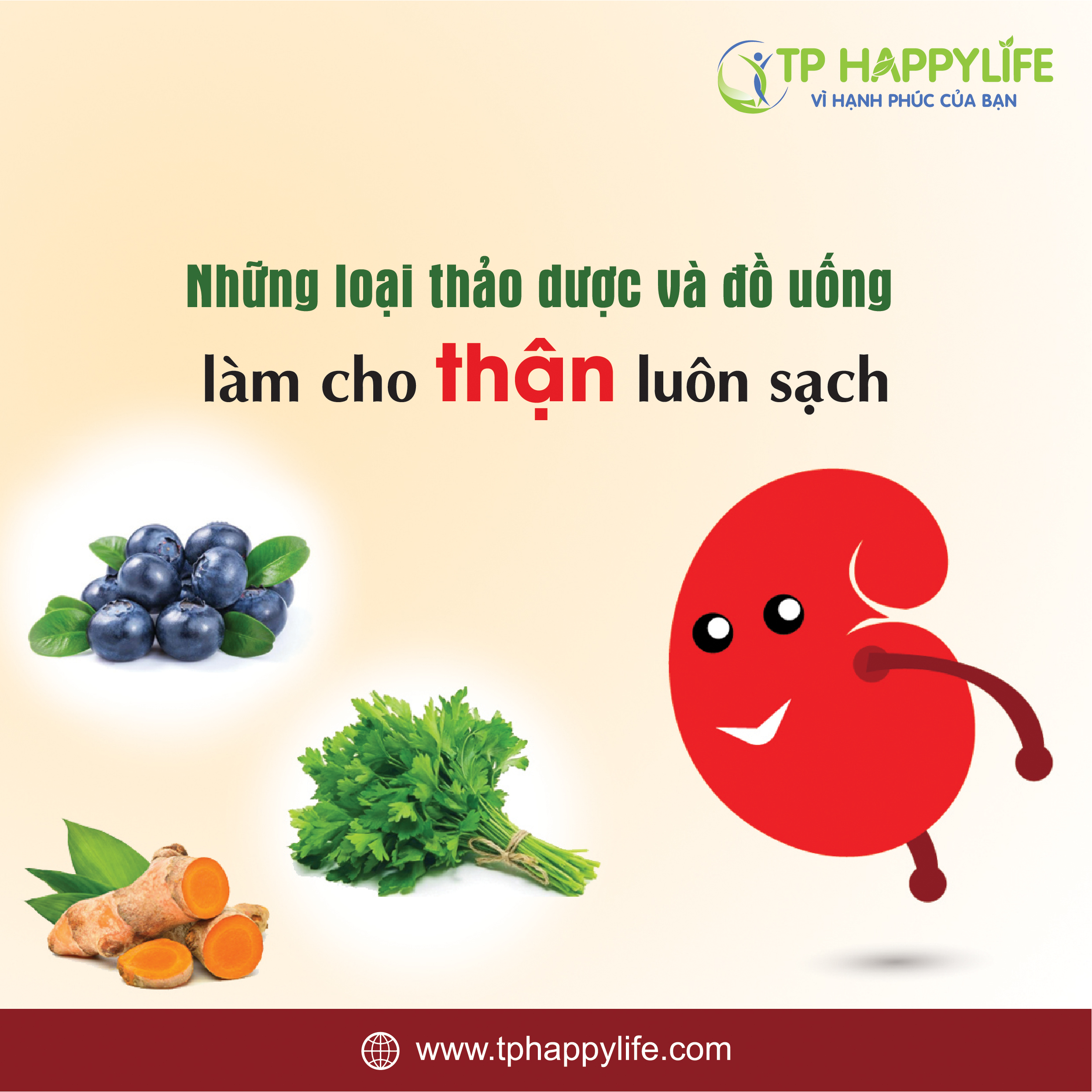 Những loại thảo dược và đồ uống làm cho thận luôn sạch.