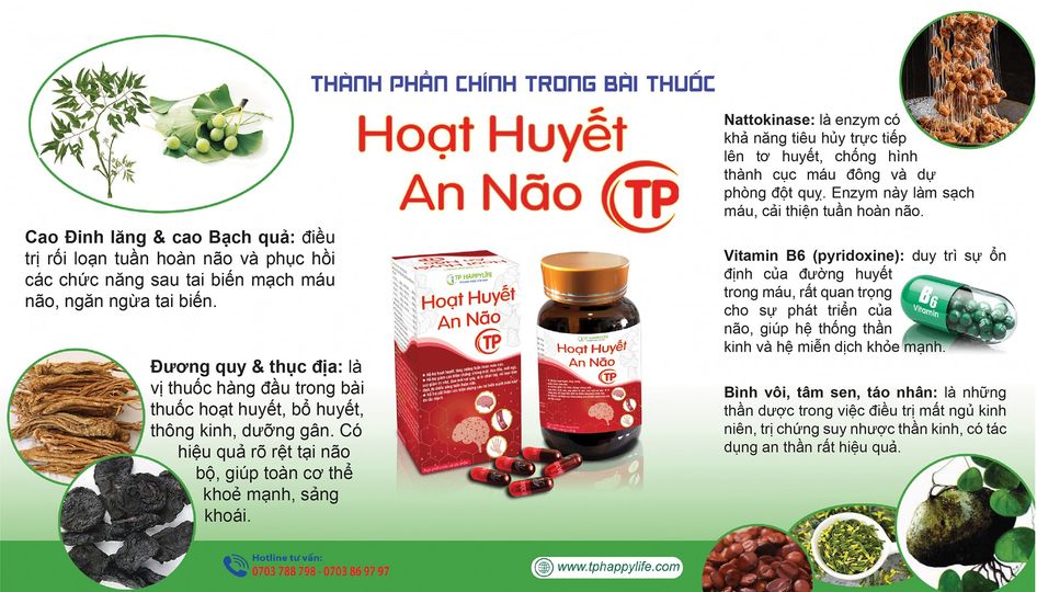 Giải mã tổ hợp thành phần vượt trội tạo nên viên uống Hoạt Huyết An Não TP.